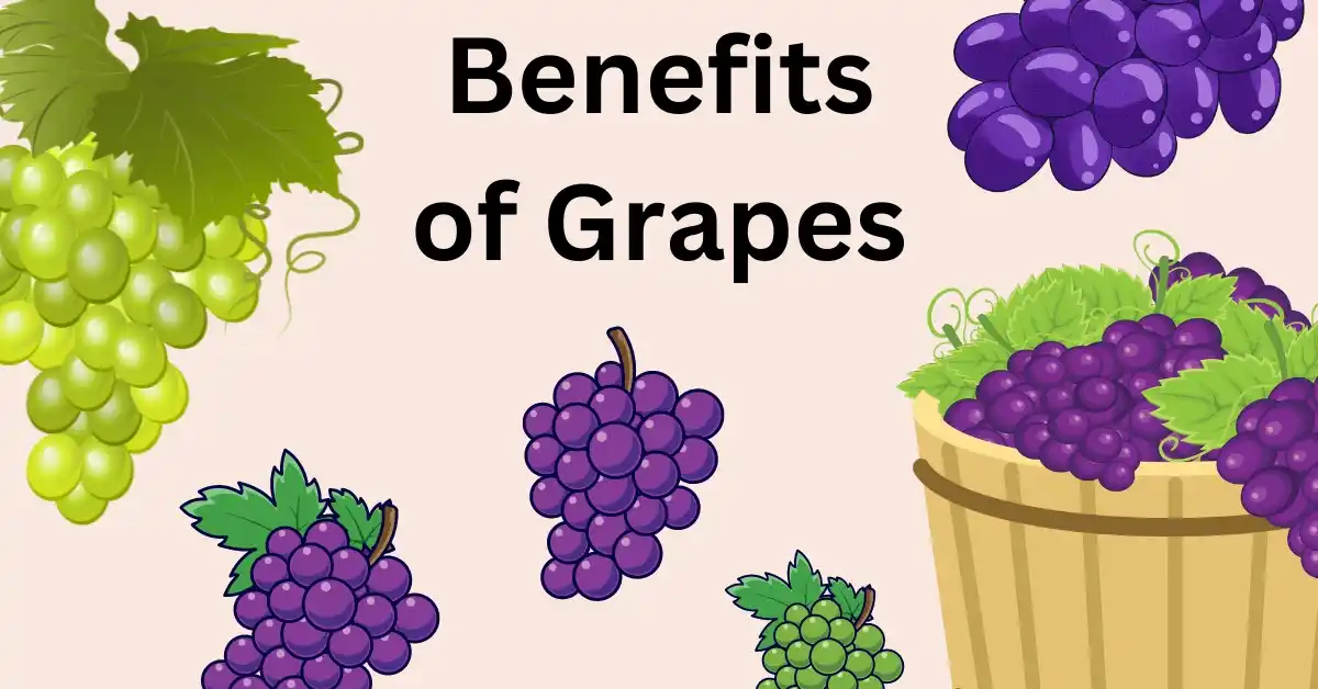 Benefits of Grapes