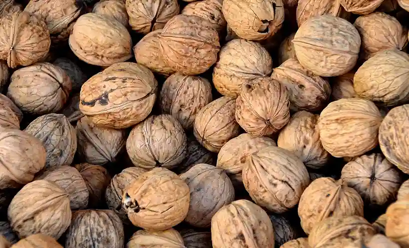 Benefits of Walnuts