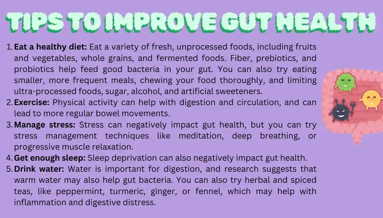 Tips to improve your Gut Health