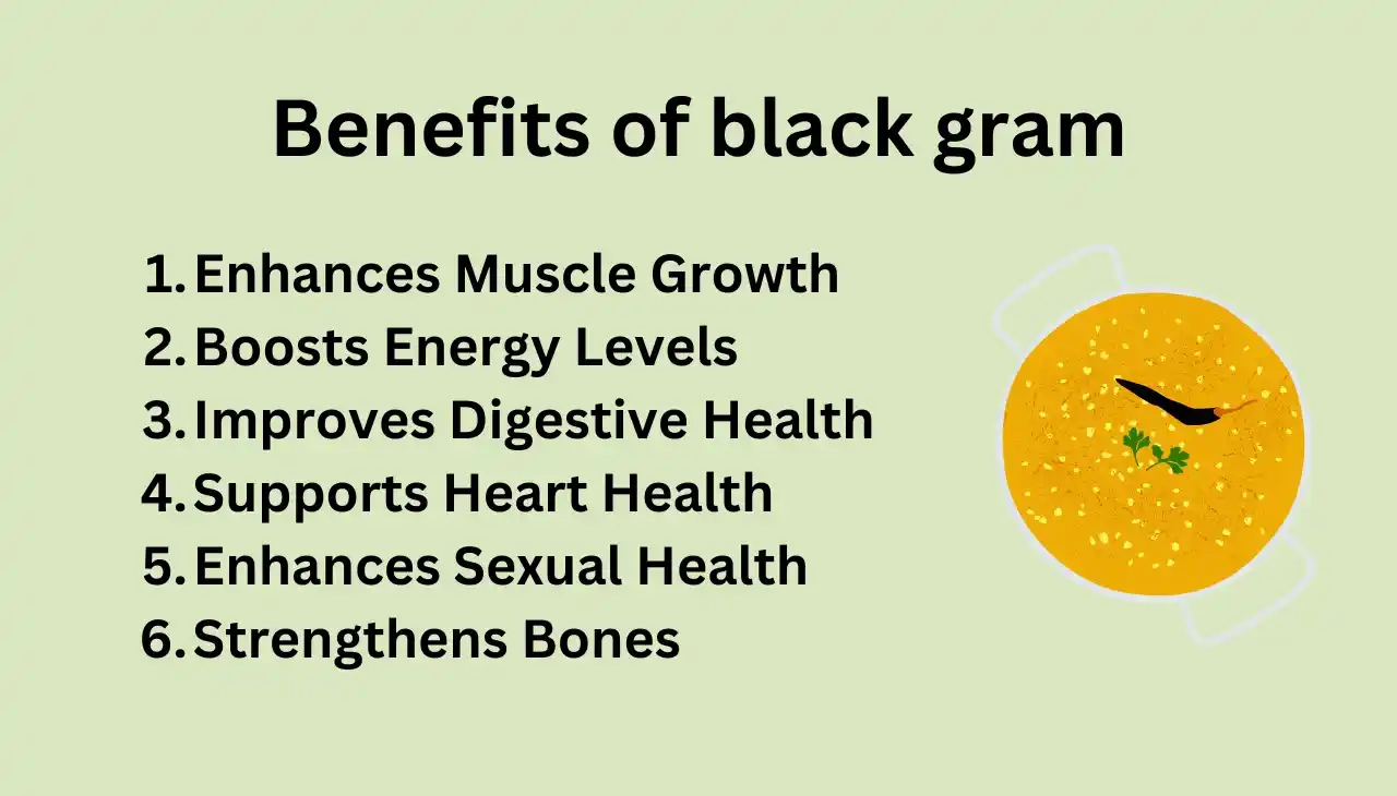 Benefits of black gram