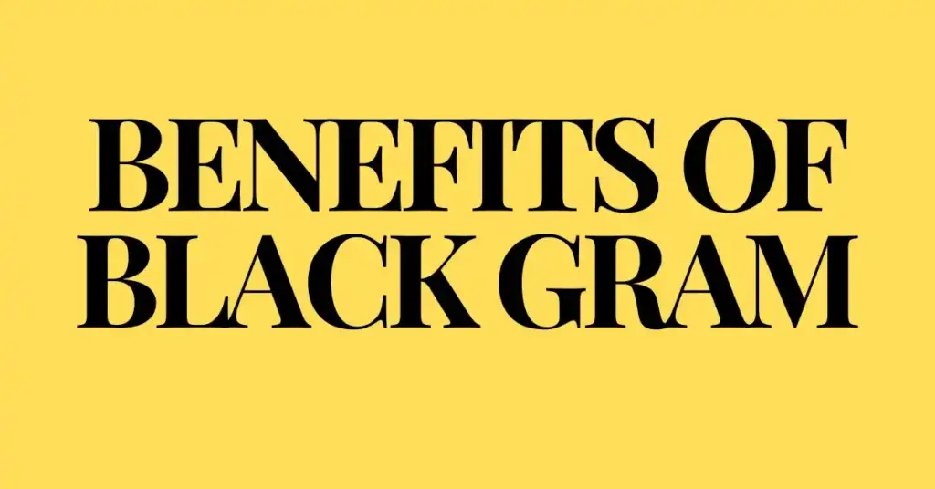 Benefits of black gram