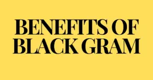 Benefits of black gram