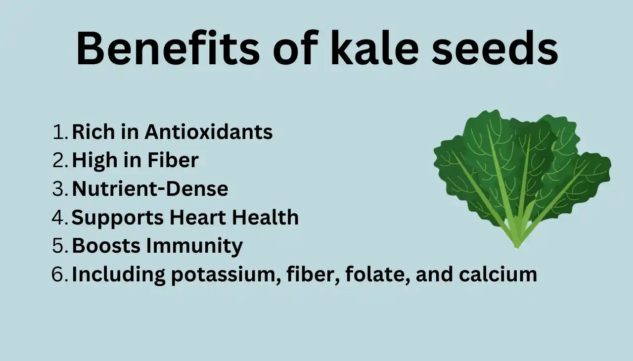 Benefits of kale seeds