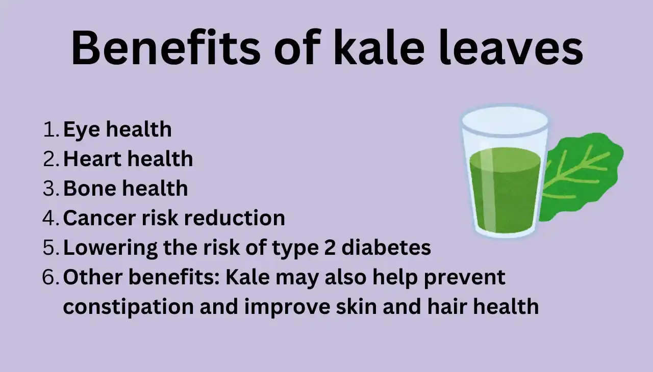 Benefits of kale leaves